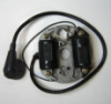 Electronic Ignition Assembly for Stihl